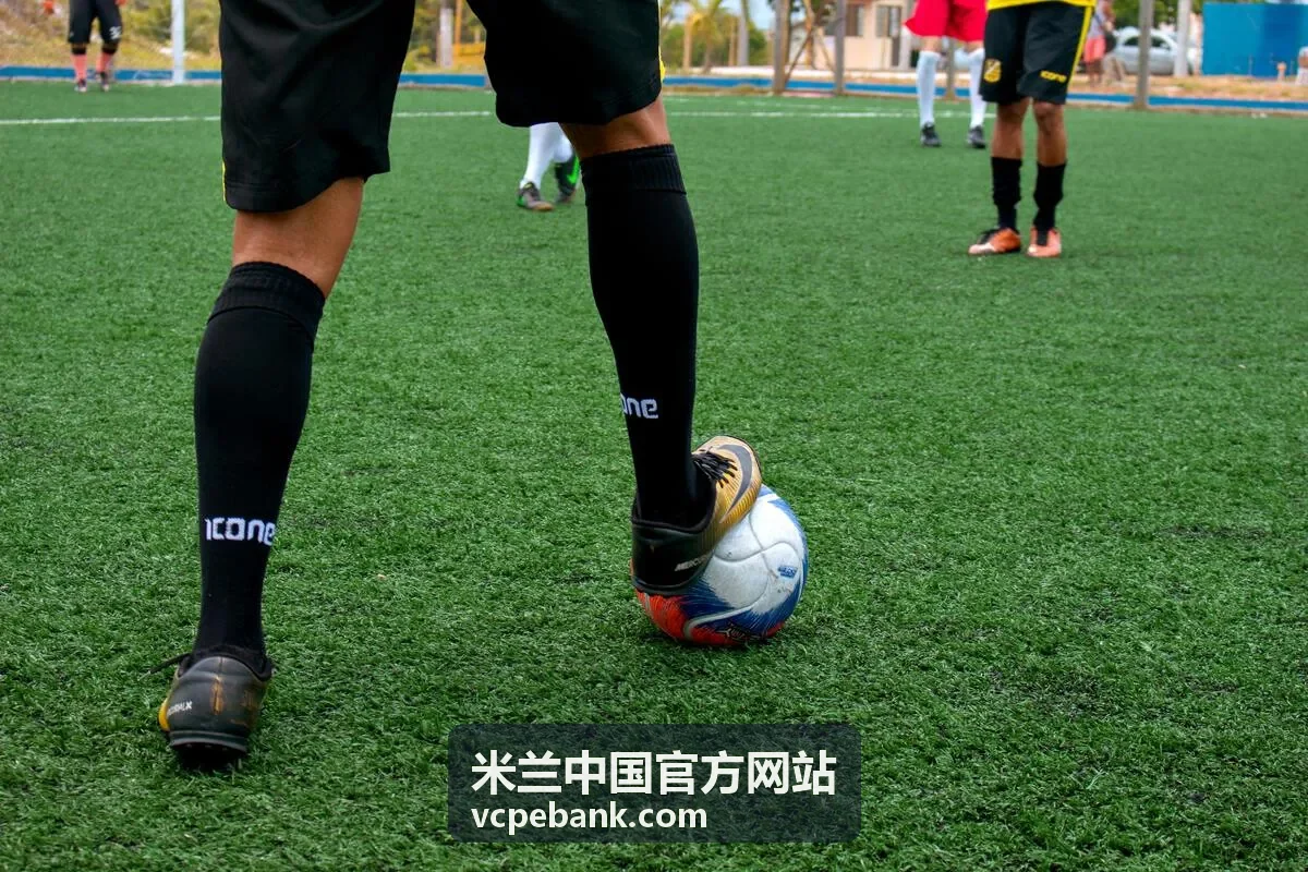 中意税务法律咨询服务