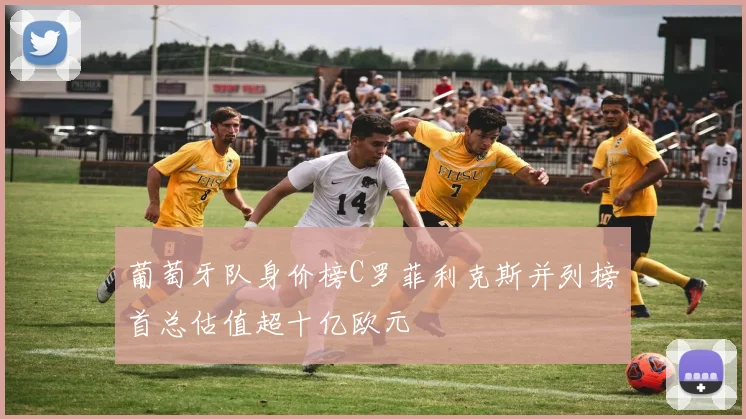葡萄牙队身价榜C罗菲利克斯并列榜首总估值超十亿欧元
