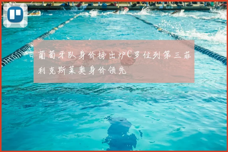 葡萄牙队身价榜出炉C罗位列第三菲利克斯莱奥身价领先