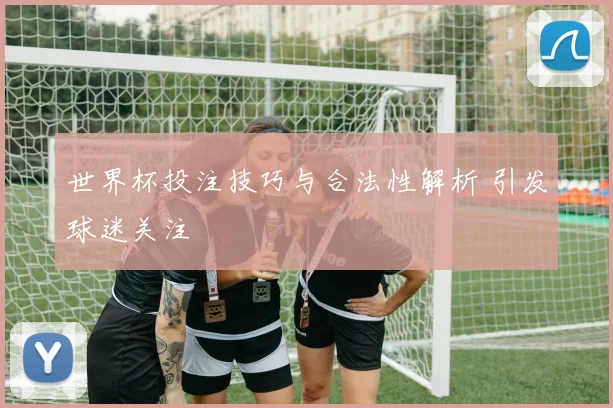 世界杯投注技巧与合法性解析 引发球迷关注