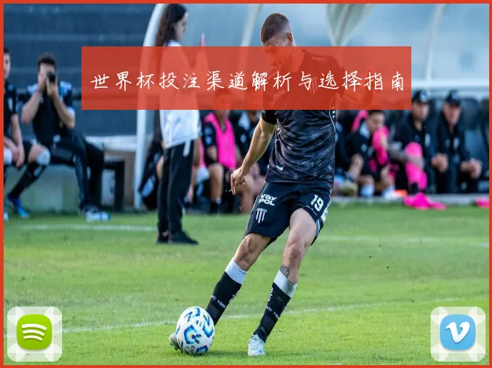 世界杯投注渠道解析与选择指南