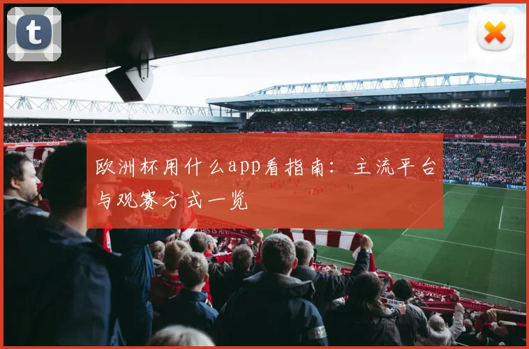 欧洲杯用什么app看指南:主流平台与观赛方式一览